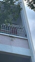 Blk 216 Jurong East Street 21 (Jurong East), HDB Executive #605500301